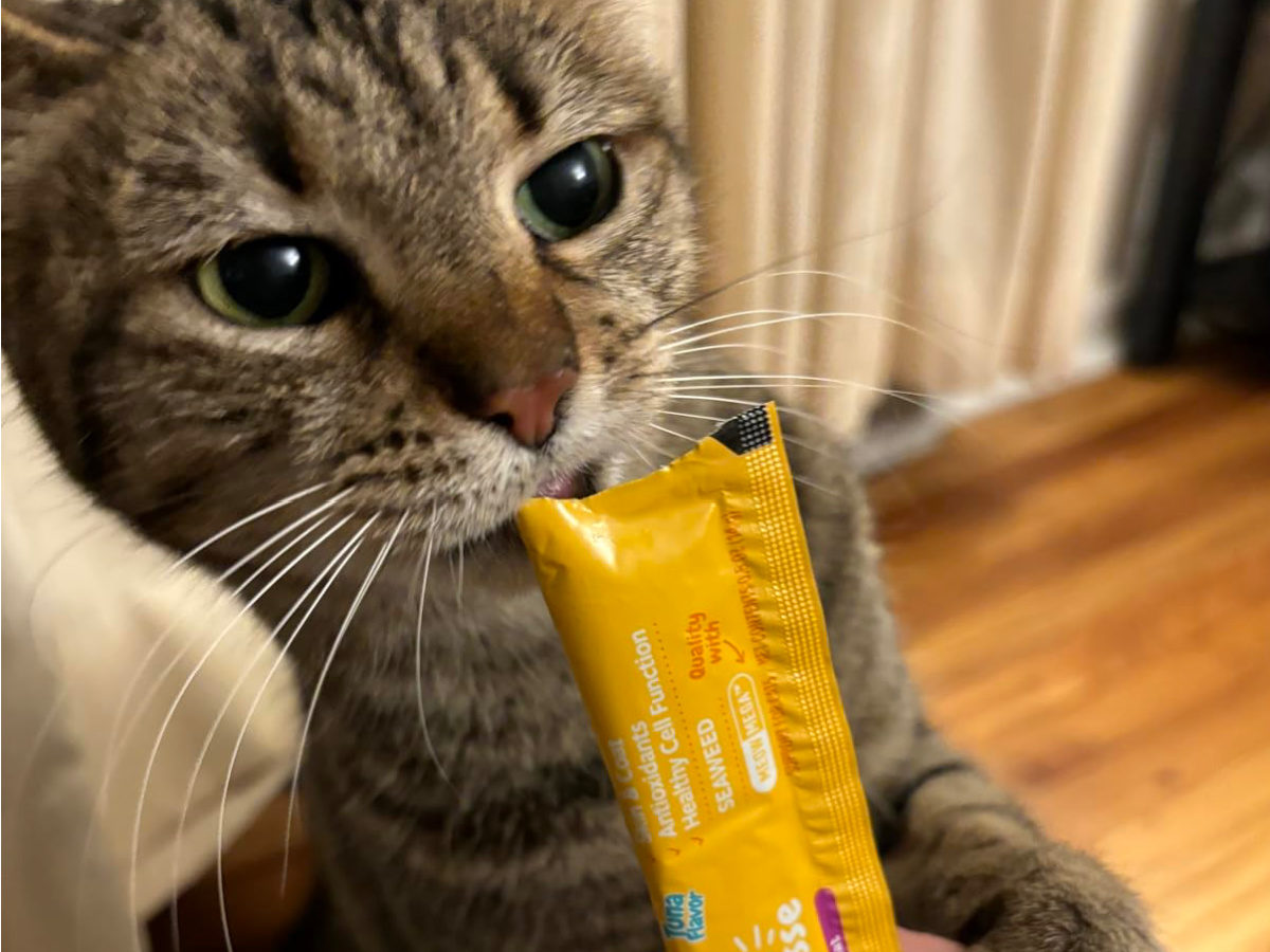 Zesty Paws Omega Cat Mousse 18-Count Just $14.97 Shipped on Amazon | Supports Digestive Health