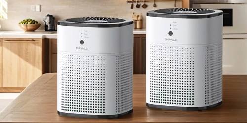 HEPA Air Purifiers w/ Oil Diffusers 2-Pack Just $59.84 Shipped on Amazon (Less Than $30 Each)