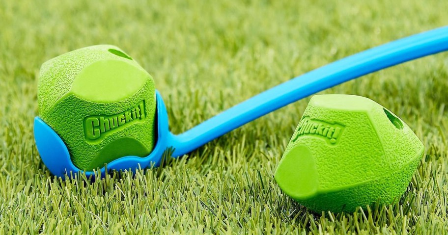 green ChuckIt ball in a blue launcher on grass