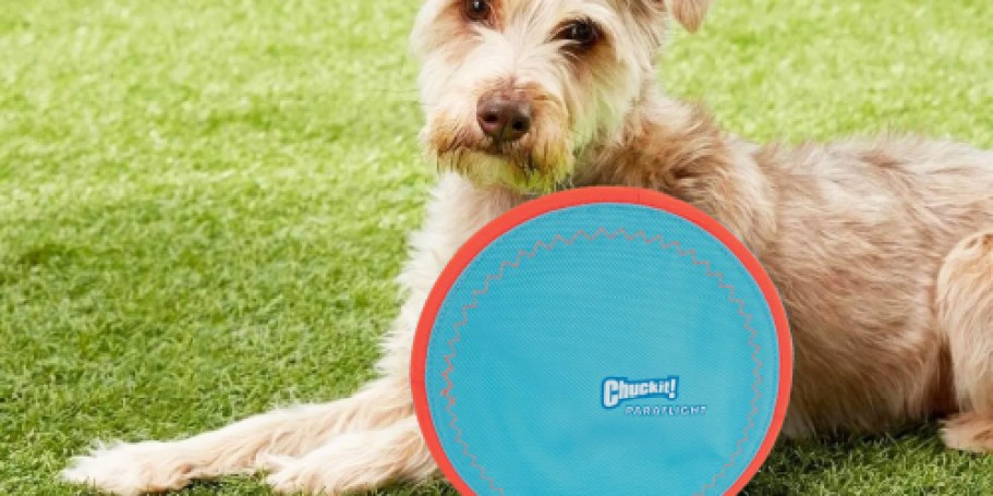 ChuckIt Flying Disc Dog Toy Only $4 Shipped on Amazon (Regularly $17)