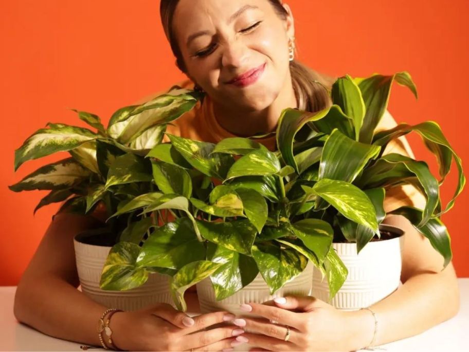 Woman hugging 3 Costa Farms plants