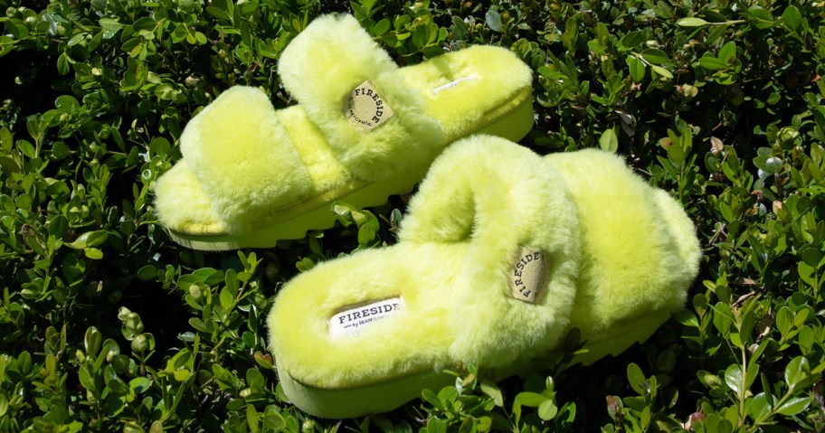 pair of yellow slipper slides on top of a green bush