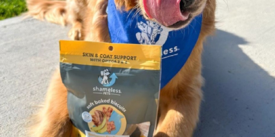 Shameless Pets Dog Treats Just $2.39 Shipped (Reg. $9) | No Grain, Corn, or Soy