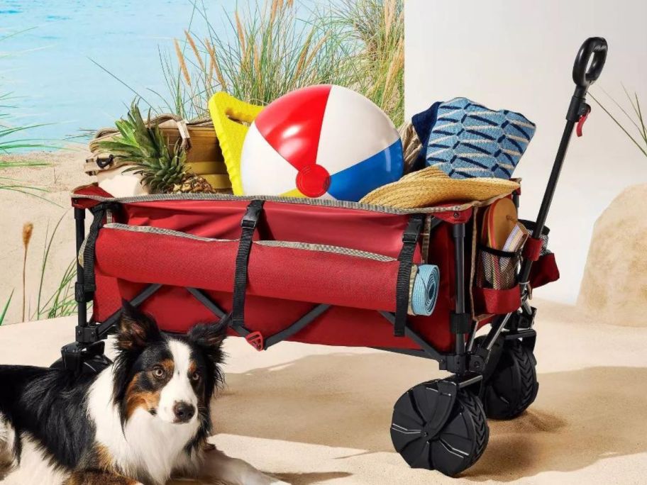 Embark Deluxe Quad Wagon on beach with beach gear inside with a dog sitting beside it