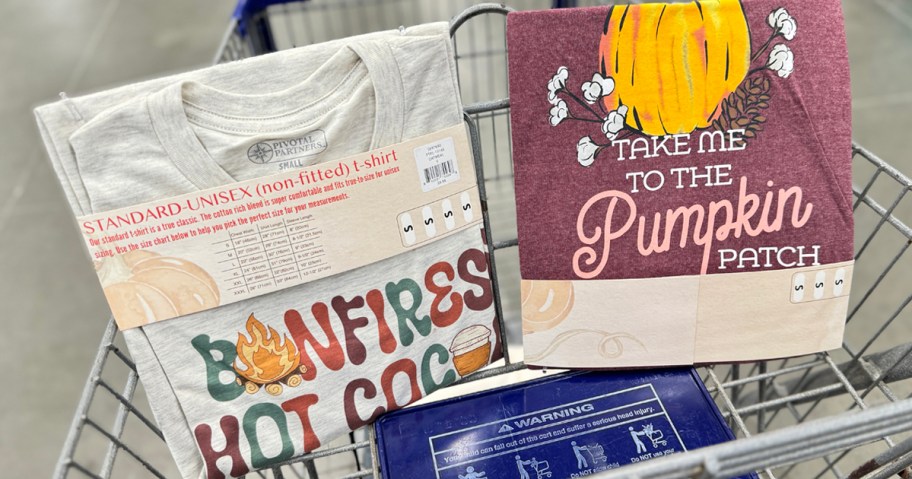 Lowe’s Women’s Soft Fall Graphic T-Shirts Only $9.98 | Get Ready for Fall, Y’all!