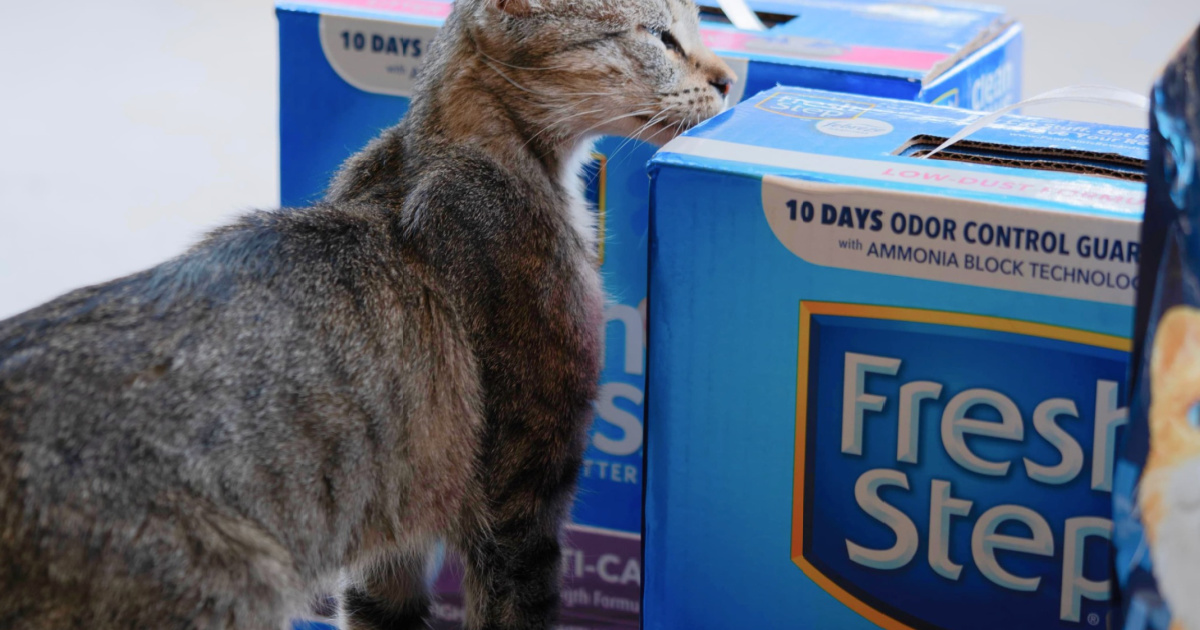 OVER 50% Off Fresh Step Cat Litter on Amazon | 14-Pound Box JUST $5 Shipped!