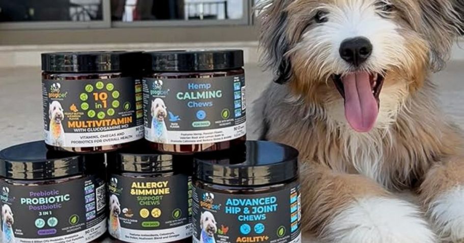 Score 50% Off Dog Supplements on Amazon | Multivitamins, Probiotics, & Calming Chews