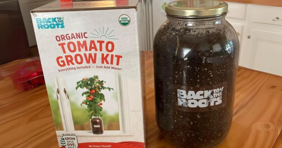 Back to the Roots Cherry Tomato Organic Windowsill Planter Kit box and large mason jar with soil shown on a table