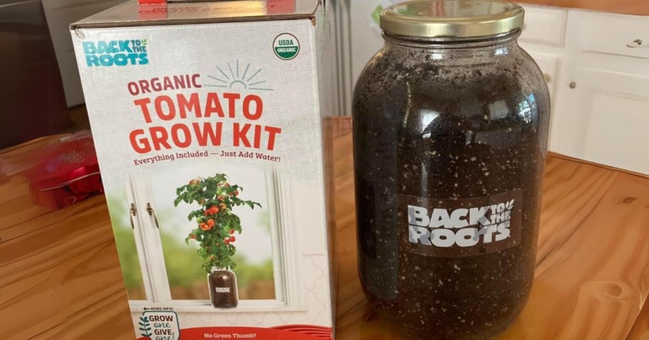 Cherry Tomato Organic Windowsill Planter Kit Just $11.59 on Amazon (Reg. $30) + More!