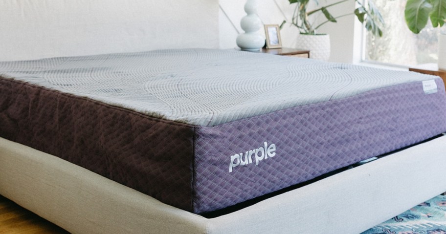 white bed frame with a Purple brand mattress in a bedroom