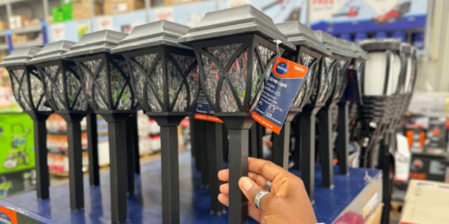 Solar LED Outdoor Path Lights ONLY $2.49 on Lowes.com | Today ONLY