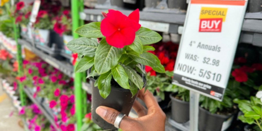 Home Depot Memorial Day Sale | Save on Plants, Mulch, Grills, Patio Furniture, Tools & More