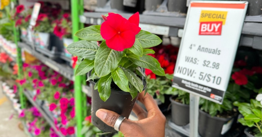 Home Depot Memorial Day Sale | Save Big on Plants, Mulch, Grills, Patio Furniture, Tools & More