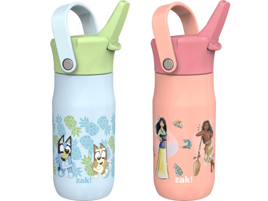 2 stainless steel water bottles, one with Bluey & Bingo, and one with Disney Princesses