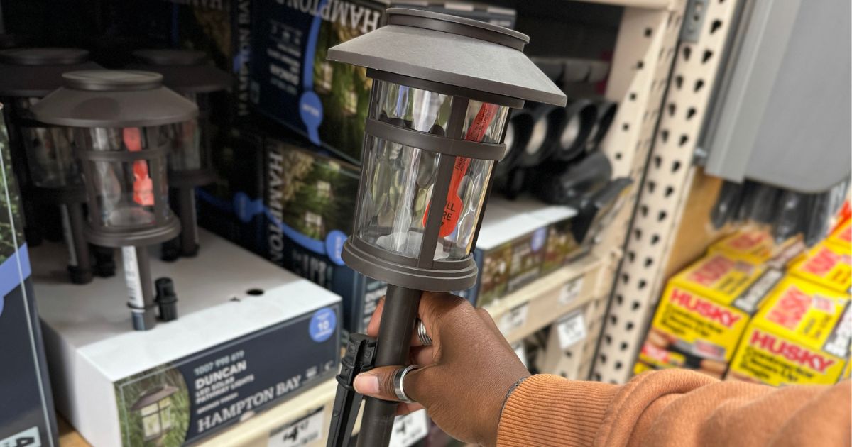 Home Depot Solar Outdoor LED Lights 8-Count Just $28.74 Shipped (Only $3.61 Each!)