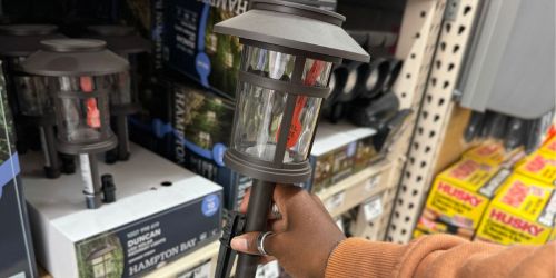 Home Depot Solar Outdoor LED Lights 8-Count Just $28.74 Shipped (Only $3.61 Each!)