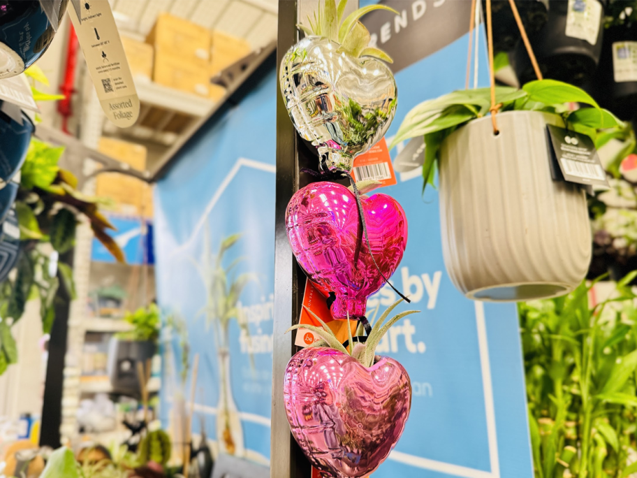 Heart Shaped Planters at Lowe's