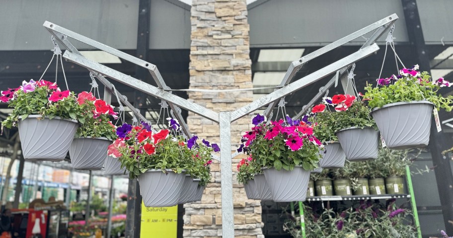 hanging flower baskets on display at home depot store