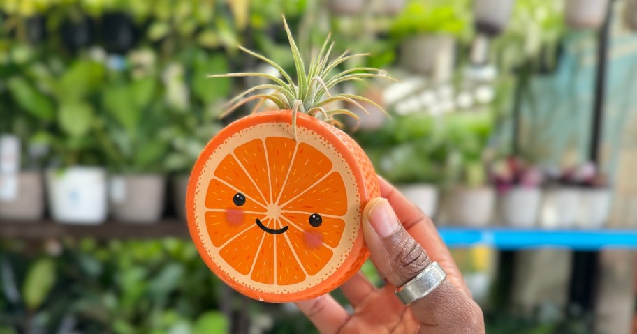 hand holding a small succulent in an orange fruit slice shaped planter that has a smiley face on it