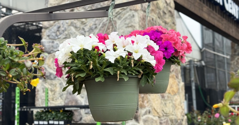 hanging baskets filled with white and pink flowers