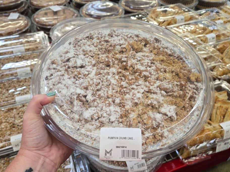 Member's Mark Pumpkin Crumb Cake 50oz in hand in store