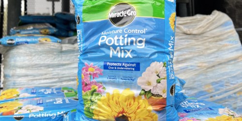 Miracle-Gro Potting Soil Only $7.50 on Lowes.com