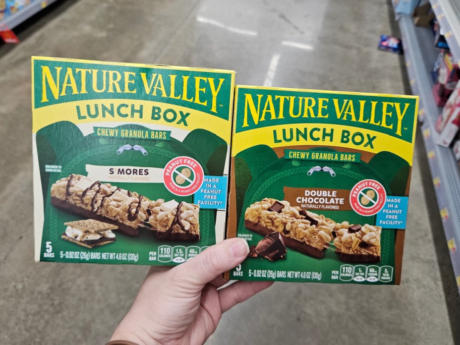 Nature Valley lunch box flavors at the store in womans hand