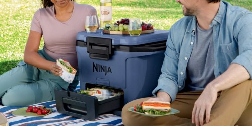 Ninja FrostVault Hard Cooler ONLY $159.99 Shipped (Reg. $200) – Includes Dry Zone Drawer!