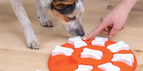 Up to 70% Off Outward Hound Dog Toys on Amazon | Treat Puzzle Just $5 (Reg. $14)