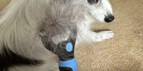 Double-Sided Rake Pet Grooming Brush JUST $4.89 on Amazon