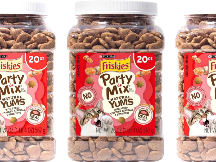 Purina Friskies Party Mix Natural Yums 20oz in Salmon Flavor stock image