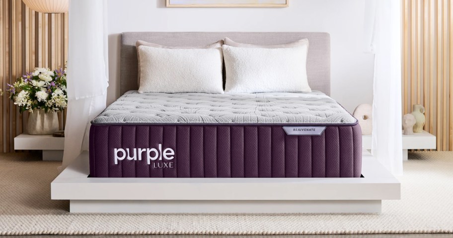 purple mattress on a white bed frame that slow to the ground
