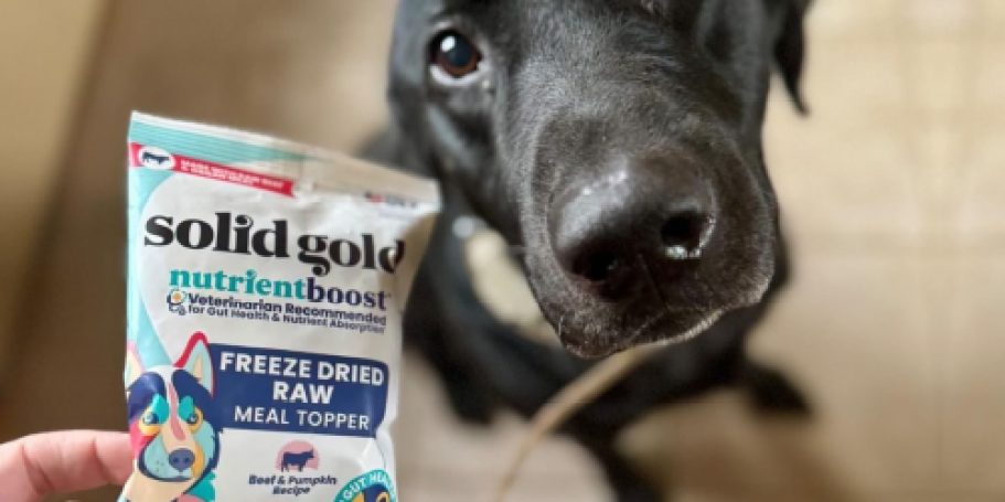 50% Off Solid Gold Dog Food Topper on Amazon