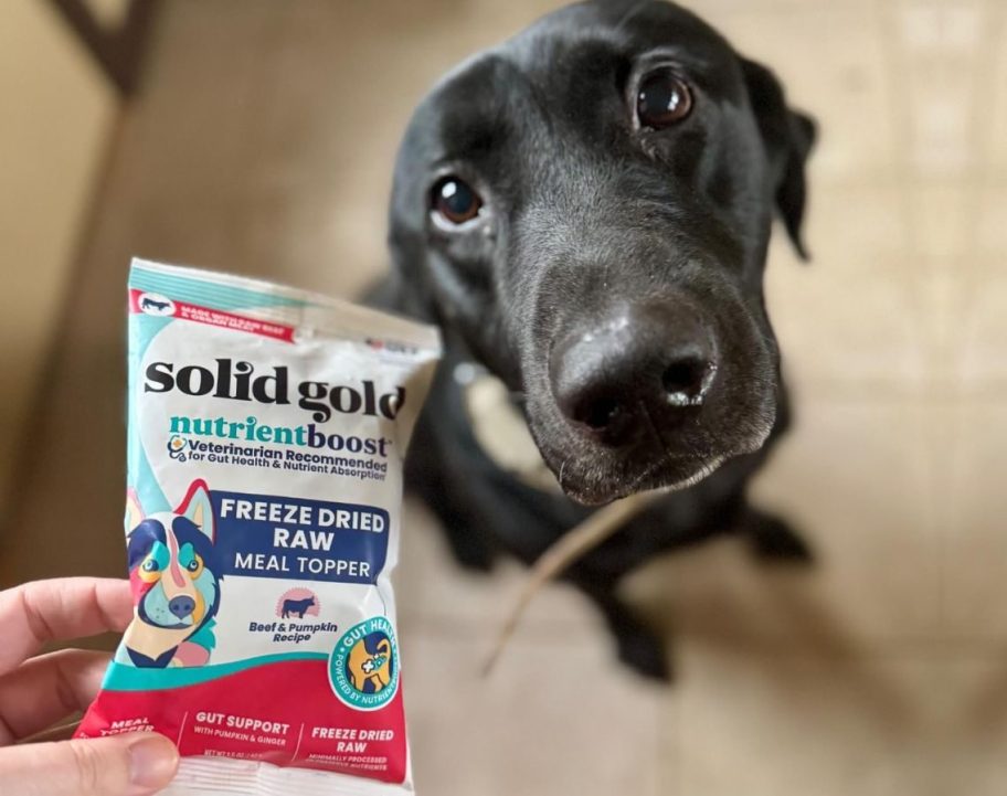 50% Off Solid Gold Dog Food Topper on Amazon