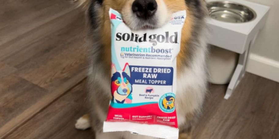 Highly-Rated Solid Gold Dog Food Meal Topper Just $2.52 Shipped w/ Amazon Prime (Reg. $6)
