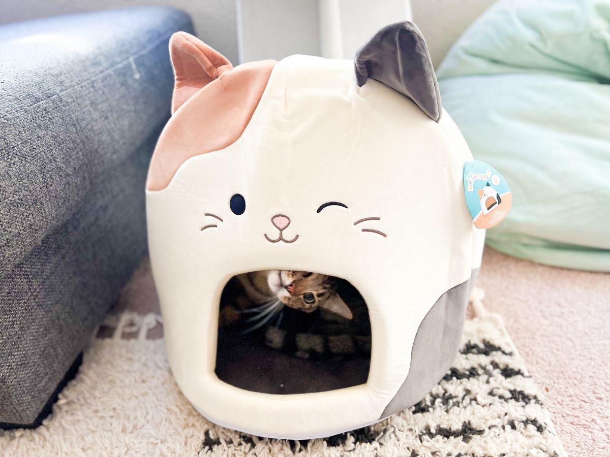 Squishmallows Pet Caves Only $23.99 on Amazon (Regularly $30)