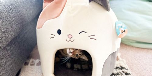 Squishmallows Pet Caves Only $23.99 on Amazon (Regularly $30)
