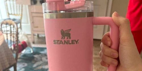 NEW Target Stanley Tumblers Colors Available Now