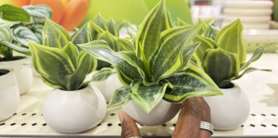 50% Off Target Artificial Potted Plants | Prices from $2.50
