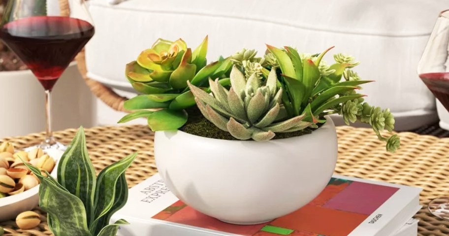 succulents in a white pot on a patio table