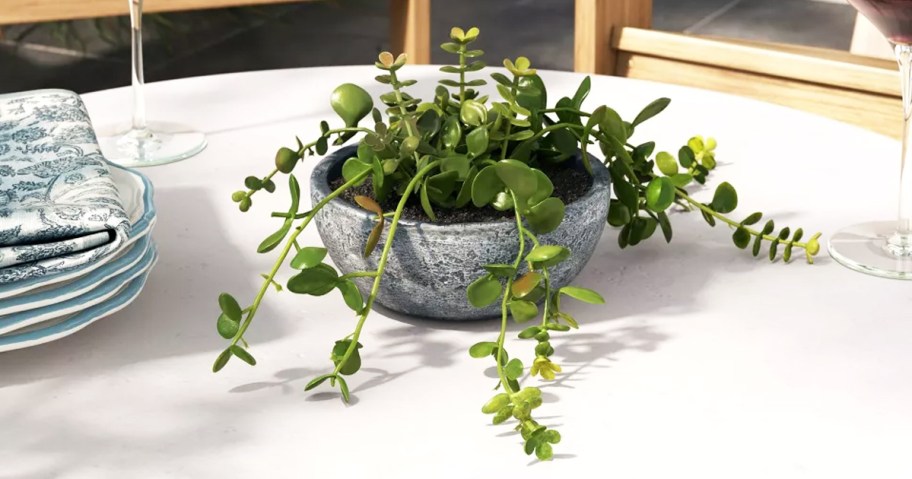 green plant in a grey pot on a patio table