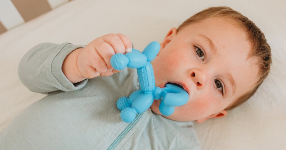 baby with a balloon dog shaped baby teether in his hand and mouth