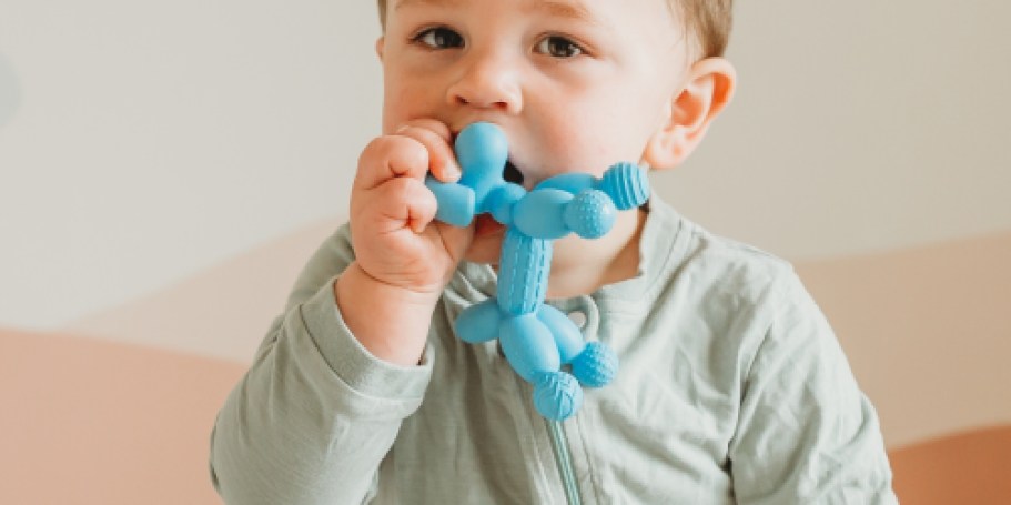Baby Teether Toy w/ BPA-Free Silicone Only $5.99 Shipped for Amazon Prime Members