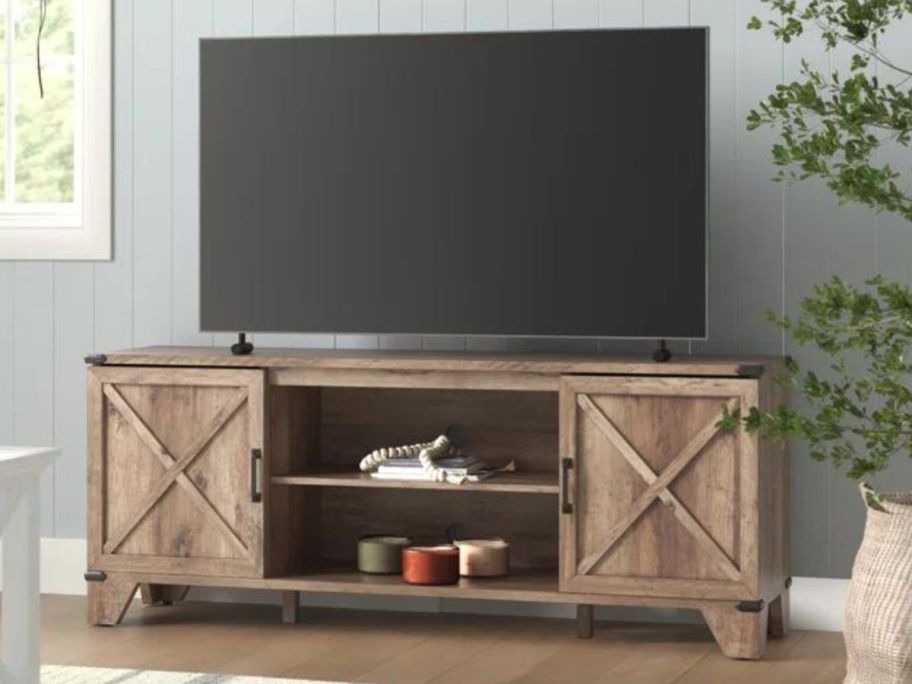 Trent Austin Design Nguyen 60'' Wide 2-Door TV Stand