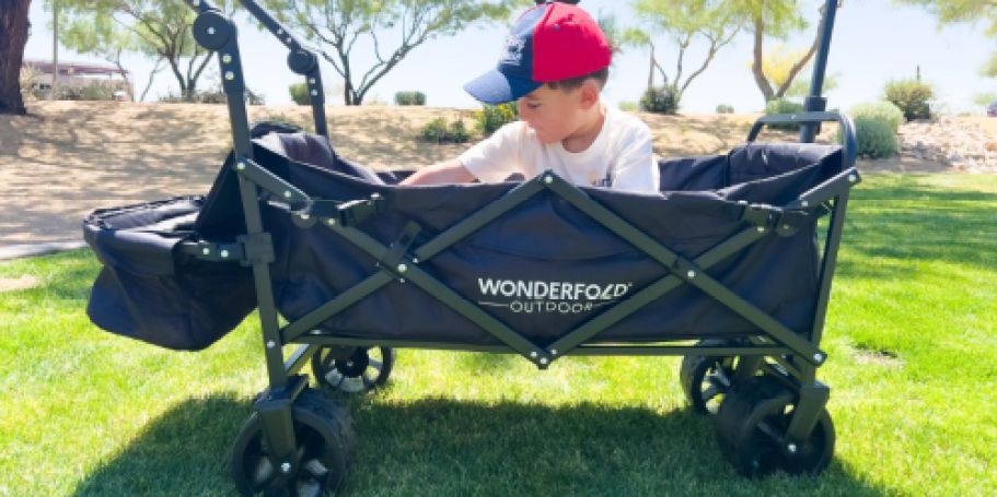 Wonderfold Push & Pull Wagon JUST $149.96 Delivered (Over $234 Value) – Includes Cooler!
