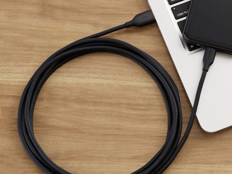 Amazon Basics Fast Charging Cable from 49¢ Shipped (Reg. $10)