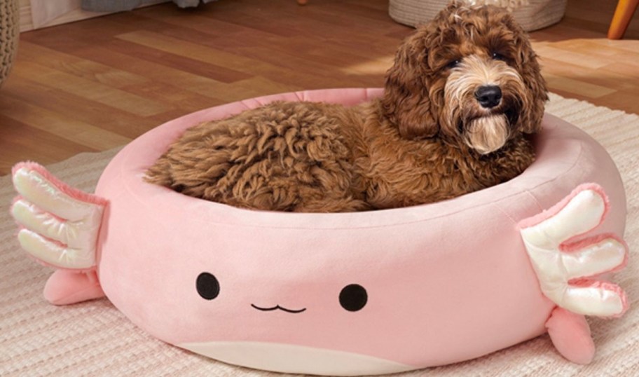 pink axolotl squishmallow with dog laying in it 