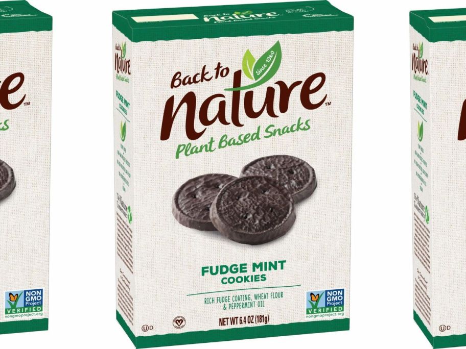 Back to Nature Fudge Mint Cookies stock image
