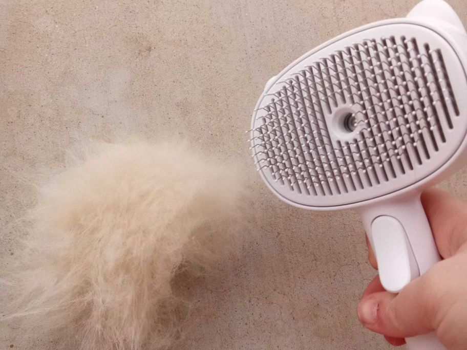 cat brush cleaned on table