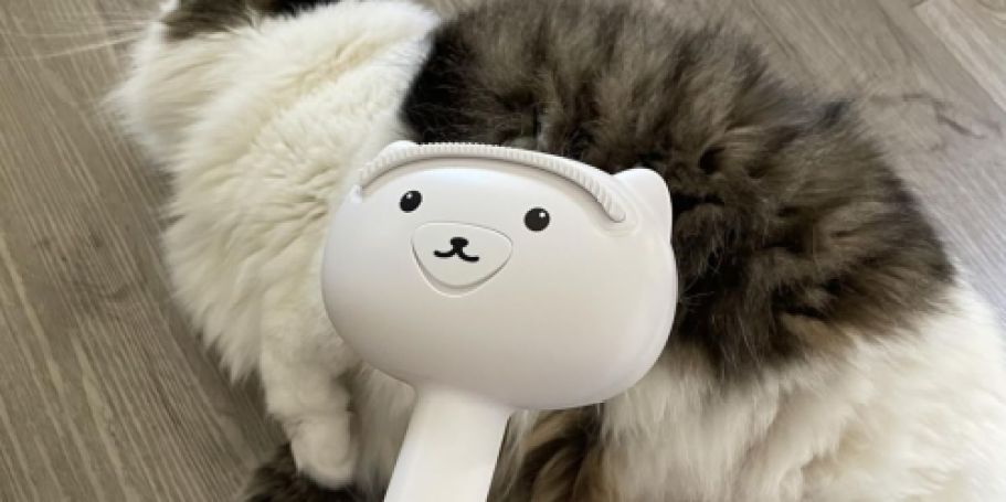 No-Rinse Pet Grooming Steam Brush Just $9.74 on Amazon (Reg. $25)